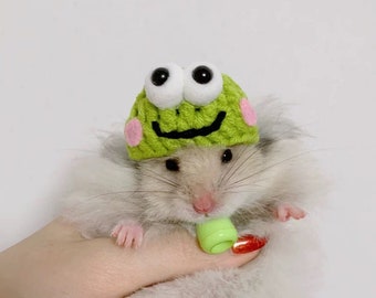 Handmade Pet Hat Frog Costume Hat-Hedgehog/Parrot/Hamster/Squirrel/Guinea Pig/Rat/Chinchilla/Ferret/Sugar Glider/Rabbit/Leopard gecko/Quail