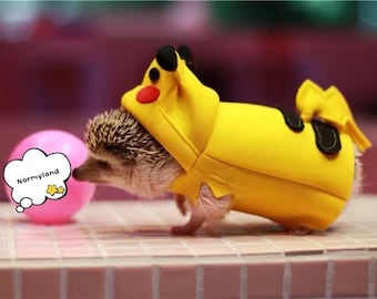May include: A small hedgehog wearing a yellow Pikachu costume with a red and black design. The hedgehog is looking at a pink ball with the word "Normyland" written on it.