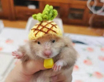 Handmade Pineapple Pet Hat Gifts-Hedgehog/Hamster/Squirrel/GuineaPig/Rat/Parrot/Chinchilla/Ferret/SugarGlider/Rabbit/LeopardGecko/Quail/Bird