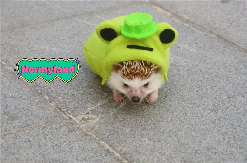Handmade Pet Frog Costume Clothes Best for Hedgehog Etsy