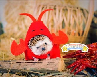 Handmade Pet Lobster Costume Clothes Best for Hedgehog