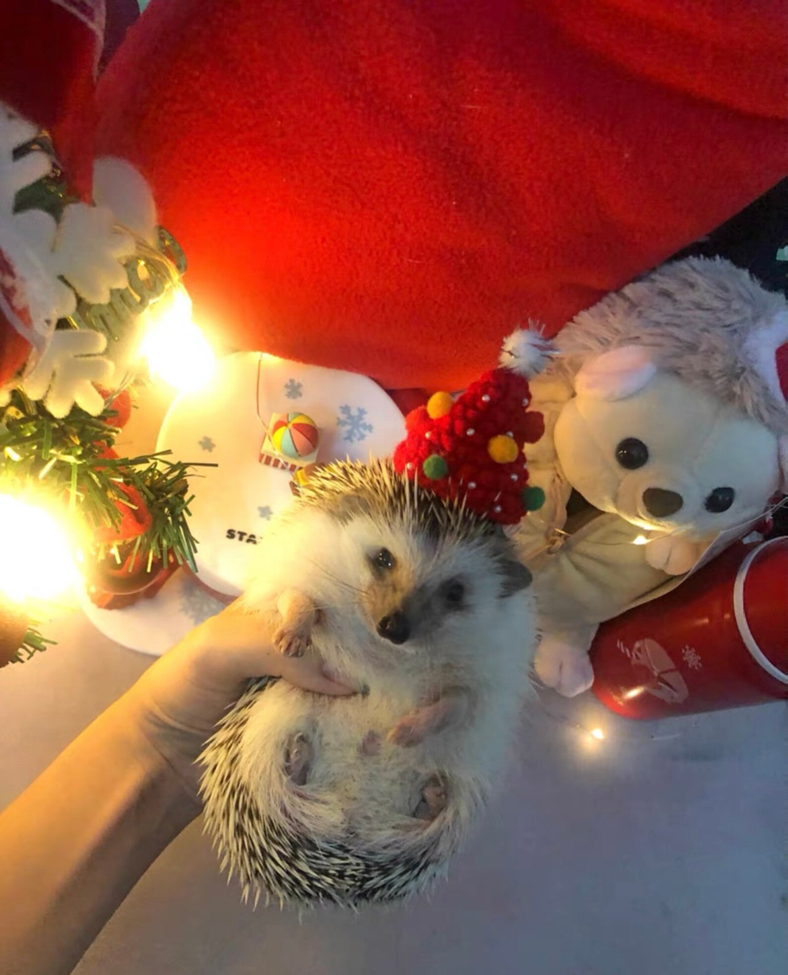 Handmade Christmas Tree Pet Etsy