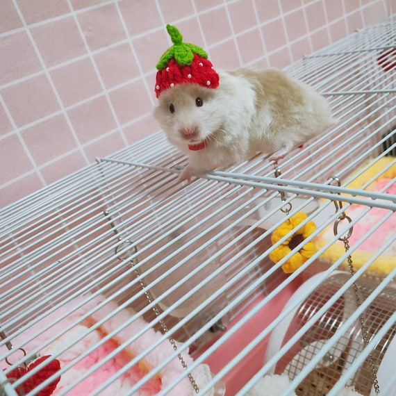 Casetta Per Porcellini D'India RANYPET | Cuccia Morbida Antiscivolo Per Piccoli Animali 26x26x28cm - Foto 5