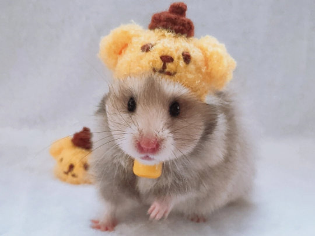 WishLotus Hamster-Versteck & Hängematte - Vlies-Zelt Für Kleintiere | Blaue/graue Ausführung