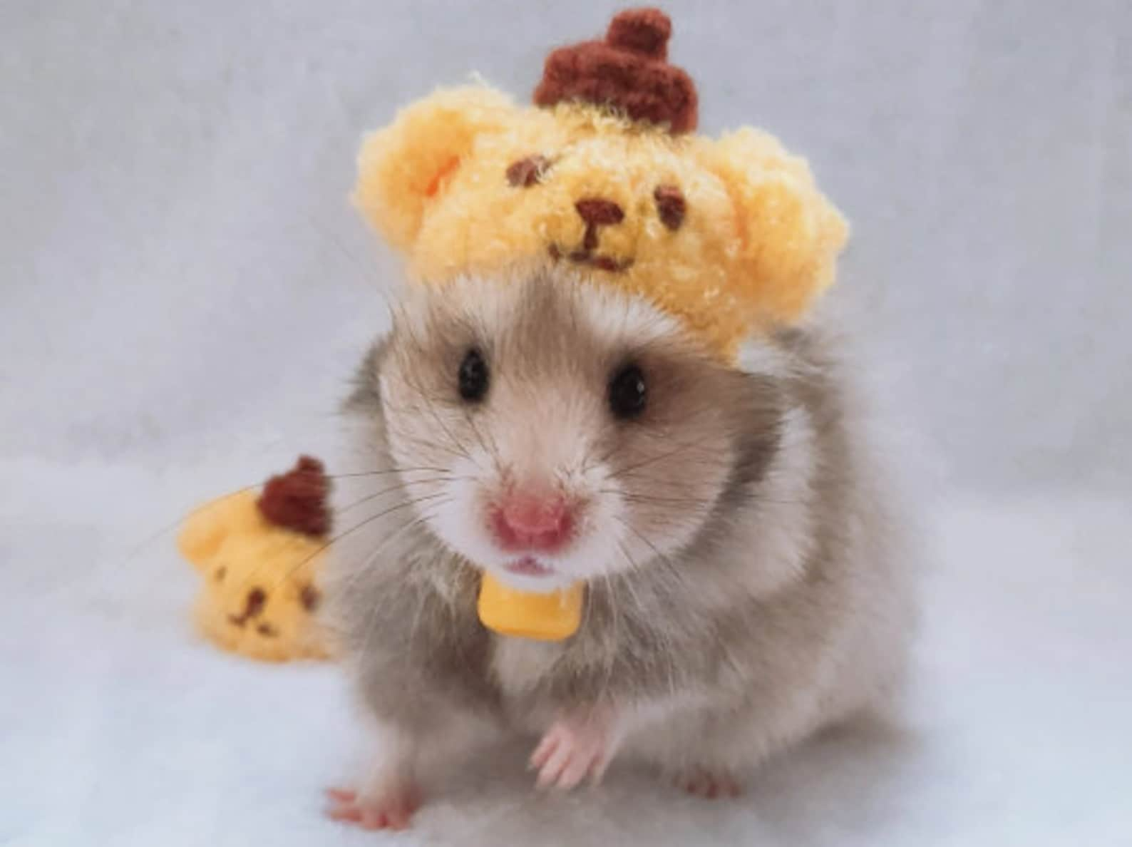 Pet Headgear Cute Hamster Hat Soft Hamster Halloween Accessories Guinea Pig  Cartoon Hat 