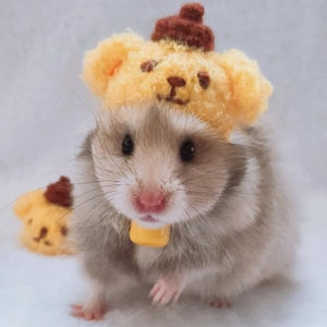 Puppy Pet Hat Gift-Hedgehog/Parrot/Hamster/Squirrel/GuineaPig/Rat/Chinchilla/Ferret/SugarGlider/Rabbit/LeopardGecko/Quail/BallPython/Bird