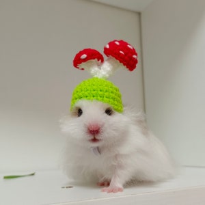 Mushrooms Pet Hat-Hedgehog/Hamster/Squirrel/GuineaPig/Rat/Chinchilla/Ferret/SugarGlider/Bunny/LeopardGecko/Quail/Duck/BallPython/Bird/Parrot