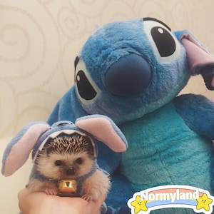 Handmade Pet Clothes Best for Hedgehog