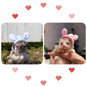 Rabbit pet hat/small Animals Hat-Hedgehog/Hamster/Squirrel/Guinea Pig/Rat/Chinchilla/Ferret/Bunny/Sugar Glider/Quail/Bird/Duck/Ball Python