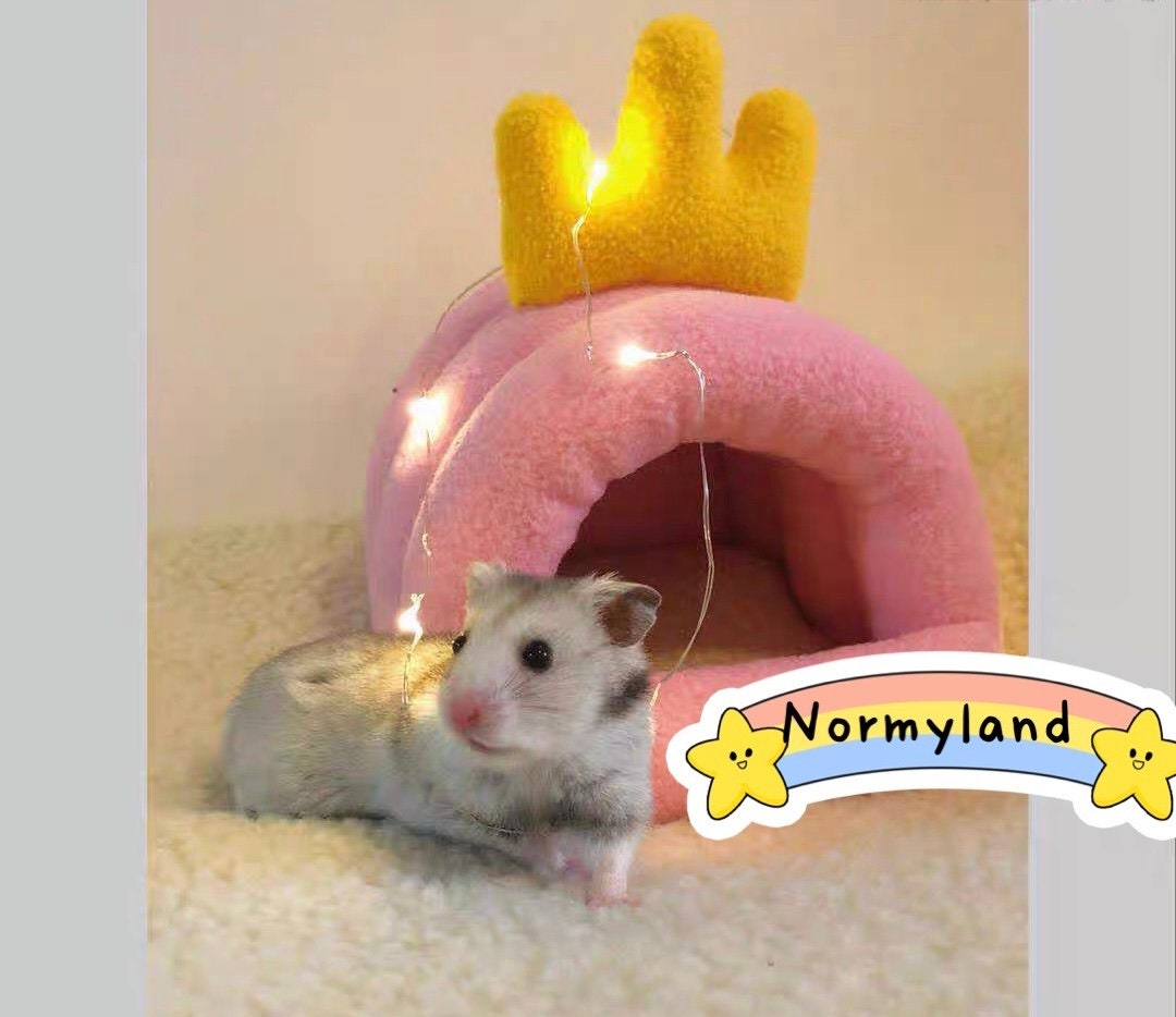 Cozy Warm Sleeping Bed Pink Crown House Cage Hideout Gifts Hedgehog, Hamster, Rat, Sugar Glider, Guinea Pig, Chinchilla, Small Animal Pet Gifts