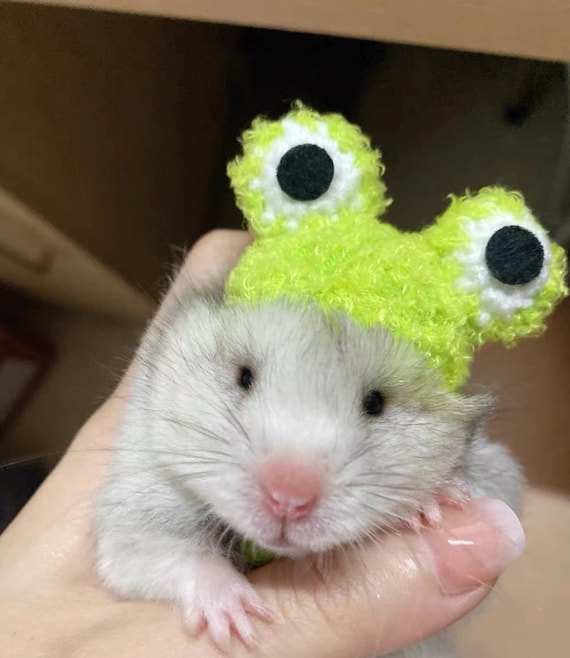 Weihnachtsmütze Für Hühner & Haustiere - Verstellbarer Festtags-Hut Mit Schal