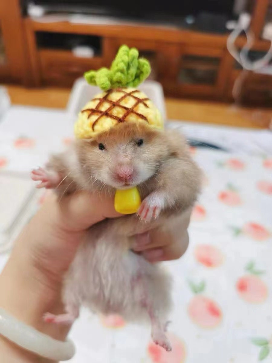 Handmade Pineapple Pet Hat Gifts-Hedgehog/Hamster/Squirrel/Guineapig/Rat/Parrot/Chinchilla/Ferret/Sugarglider/Rabbit/Leopardgecko/Quail/Bird