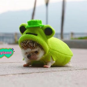 Handmade Pet Frog Costume Clothes Best for Hedgehog