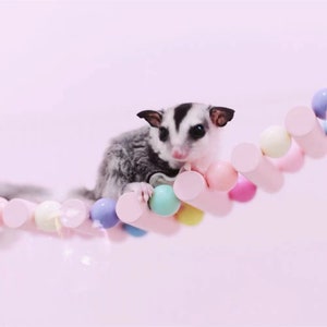 Sugar Glider/Small Pet Bridge Fun Cage Accessories Toy Decoration Gifts