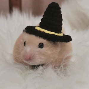 Halloween Witch Pet Hat Gift-Hedgehog/Hamster/Squirrel/GuineaPig/Rat/Chinchilla/Ferret/Bunny/Parrot/SugarGlider/Bird/LeopardGecko/Quail/Duck