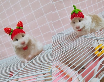 Strawberry Small Pet Hat Gifts-Hedgehog/Hamster/Squirrel/Guinea Pig/Rat/Chinchilla/Parrot/Ferret/Bunny/Sugar Glider/Bird/Leopard gecko/Quail