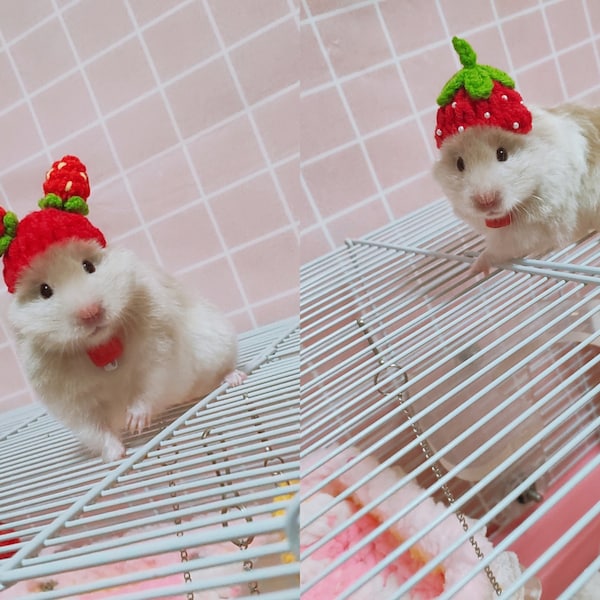 Regali per cappelli per piccoli animali fragola: riccio/criceto/scoiattolo/porcellino d'India/ratto/cincillà/pappagallo/furetto/coniglietto/petauro dello zucchero/uccello/geco leopardo/quaglia