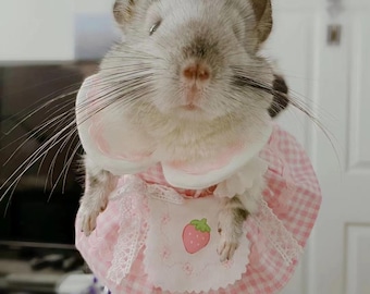 Pet Dress for Squirrel/chinchilla/syrianhamster/rabbit/fancyrat/guineapig/sugar Glider/ferret