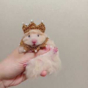 King Golden Crown Pet Hat Gifts-Hedgehog/Hamster/Squirrel/Guinea Pig/Rat/Chinchilla/Ferret/Bunny/Sugar Glider/Bird/Leopard gecko/Quail/Duck