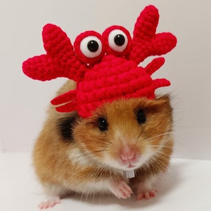 Crab Pet Hat Gifts- Hedgehog/Hamster/Squirrel/Parrot/Guinea Pig/Rat/Ferret/Bunny/Sugar Glider/Bird/Leopard gecko/Quail