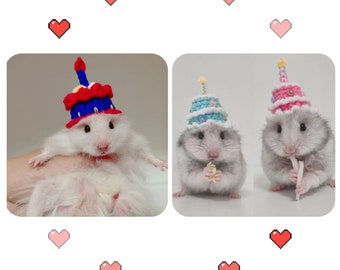 Birthday Cake Small Pet Hat Gifts-Hedgehog/Hamster/Squirrel/Guinea Pig/Rat/Chinchilla/Ferret/Bunny/SugarGlider/Bird/Leopard gecko/Quail/Duck