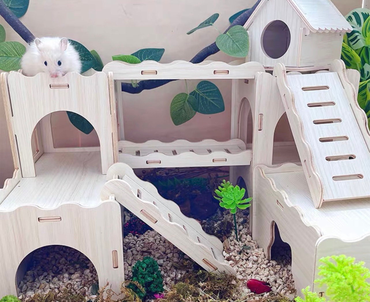View of Hamster Cages Castle