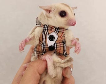 Pet brown plaid suit harness and leash set best for ferret, squirrel, fancy rat, guinea pig, rabbit, bearded dragon
