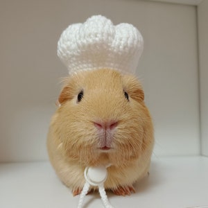 Chef Pet Hat Gifts- Hedgehog/Hamster/Squirrel/Guinea Pig/Rat/Chinchilla/Ferret/Sugar Glider/Rabbit/Leopard gecko/quail/Duck/Ball Python/Bird