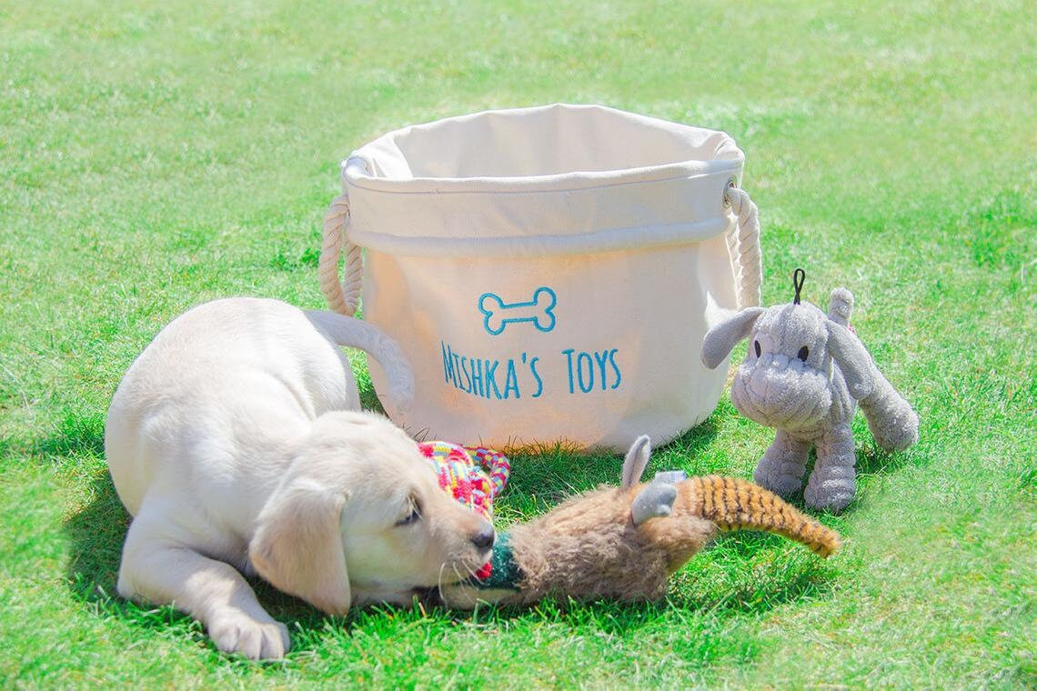 Personalized Dog Toys Dog Toys Basket Pet Storage Dog Etsy