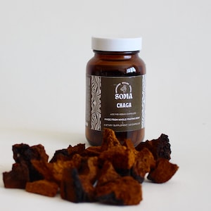 Chaga Pilz-Kapseln - 400 mg Kräuterergänzung | Vegan & Natürlich | Durchdachtes Geschenk für ältere Menschen, Geliebte