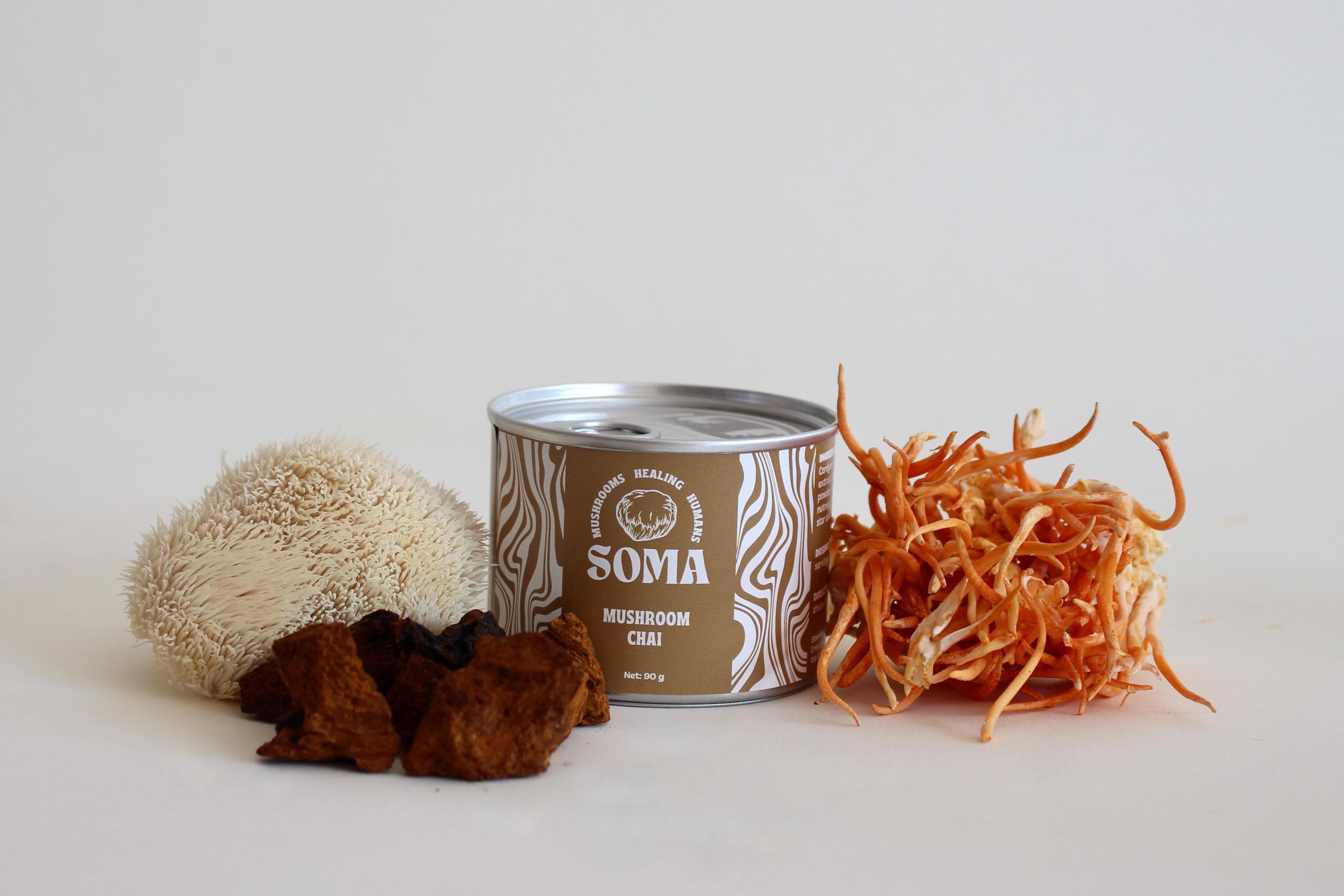 Chai-Mischung Mushroom Masala - Sofortige koffeinfreie Gewürzmischung mit Löwenmähne, Chaga & Cordyceps | Veganer Superfood Tee (30 Portionen)
