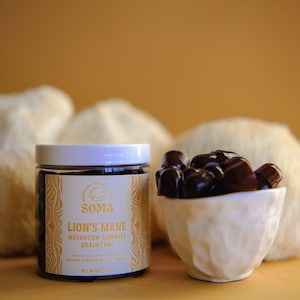 Nootropic Lion’s Mane Mushroom Gummies – 500mg Extract per Gummy | Raspberry Flavor | Mushroom supplement (60 Gummies, 30-Day Supply)