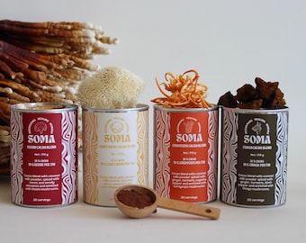Pacote de cogumelos e cacau – Chaga, Cordyceps, Lion’s Mane e Reishi I Superfood Mushroom Cacao Blends
