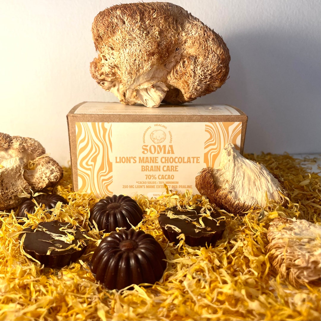 Lion's Mane Chocolate Vegan Mushroom Chocolate Pralines Easter Brain ...