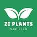 Zlatina