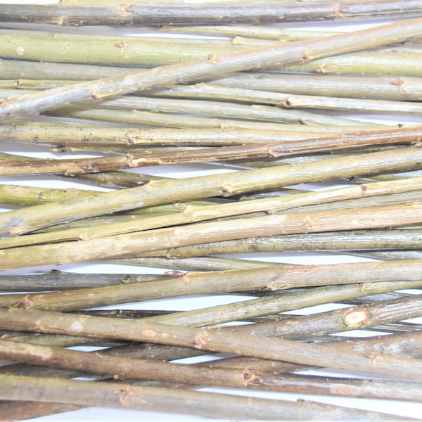 30x willow branches 12 inches or 33 cm with bark, a bundle of 30 dry branches, real willow wood, craft decor, hand picked twigs