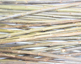 30x willow branches 12 inches or 33 cm with bark, a bundle of 30 dry branches, real willow wood, craft decor, hand picked twigs