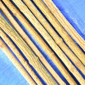 3x elder sticks 96 cm 37 inches long, a bundle of 3 sticks, elderberry wood, craft décor, elder branches, thick elder sticks craft supply image 6