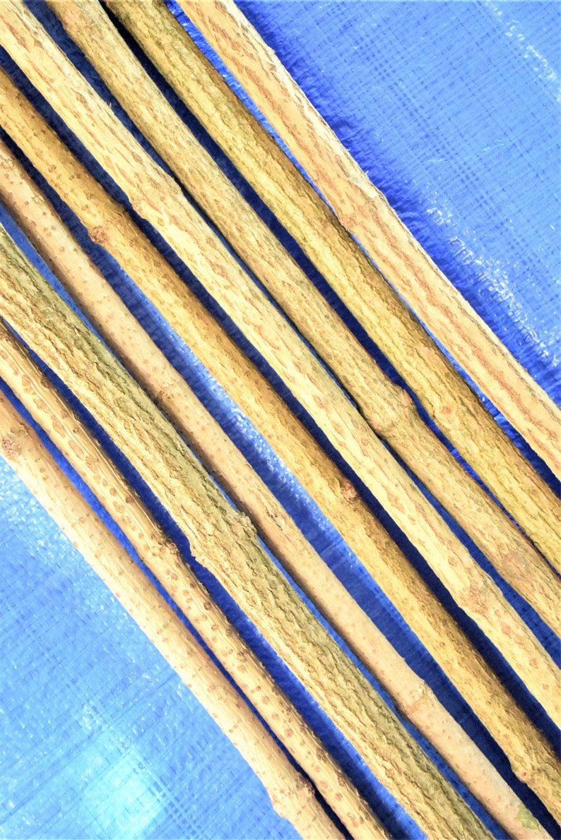 3x elder sticks 96 cm 37 inches long, a bundle of 3 sticks, elderberry wood, craft décor, elder branches, thick elder sticks craft supply image 6