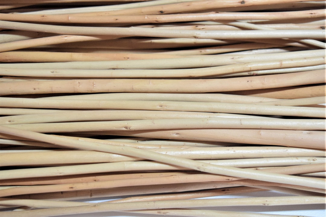 25x Willow Branches 22 Inches or 57 Cm Without Bark, a Bundle of 25