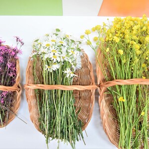 Pu&ograve; includere: Tre cesti di vimini con manici, ognuno riempito con un tipo diverso di fiore. Il cesto a sinistra contiene fiori rosa, il cesto centrale contiene fiori bianchi e il cesto a destra contiene fiori gialli.