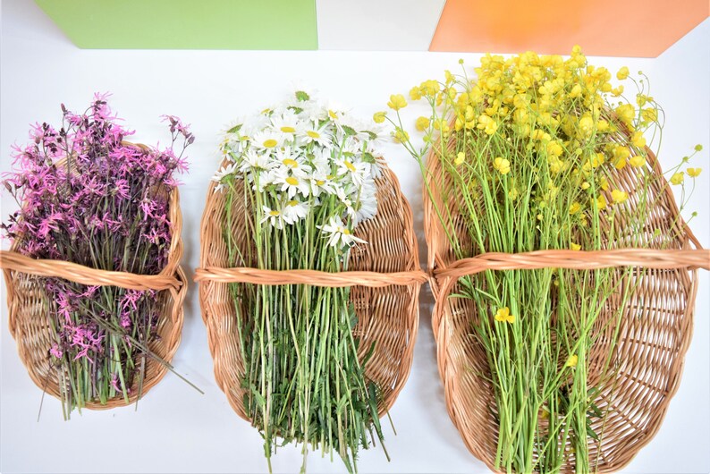 Pu&ograve; includere: Tre cesti di vimini con manici, ognuno riempito con un tipo diverso di fiore. Il cesto a sinistra contiene fiori rosa, il cesto centrale contiene fiori bianchi e il cesto a destra contiene fiori gialli.