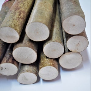 May include: A bundle of wooden dowels, each with a light-colored, circular end grain. The dowels are various shades of brown and tan, bound together with a pink rubber band. The wood has a natural, textured appearance.