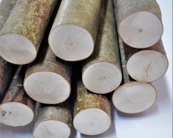 THICK Hazel stick 41 cm (about 16 inch) long, real hazel nut wood, craft décor, hazel wood stick craft supply