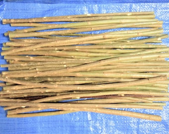 10x thick 51 cm (20 inch) willow sticks with bark, a bundle of 10 branches, real wild willow wood, premium quality twigs, macrame sticks