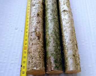 3 x hazel sticks 25,5 cm (about 10 inch) long, a bundle of 3 branches, real hazel nut wood, craft decor, hazel wood stick craft supply