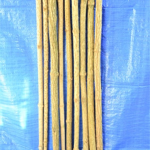 3x elder sticks 96 cm 37 inches long, a bundle of 3 sticks, elderberry wood, craft décor, elder branches, thick elder sticks craft supply image 1