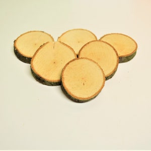 Organic apple wood slices-chews, for chinchillas, rabbits, degus, rats, guinea pigs, package of 6-22 slices, 2-3 inch diameter, pet toy