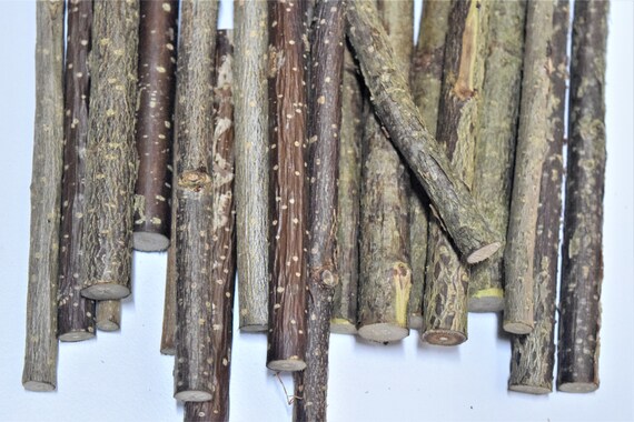 Masticabili Biologici Di Nocciola, Confezione Da 14 Oz-400 G Da 50-70 Bastoncini, Lunghi 5-6 Pollici, Vero Legno Di Nocciolo, Giocattoli Da Masticare Per Animali Domestici Per Cincillà, Conigli - Italia - 5