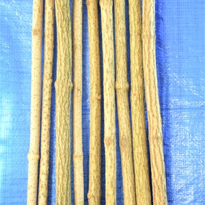 3x elder sticks 96 cm 37 inches long, a bundle of 3 sticks, elderberry wood, craft décor, elder branches, thick elder sticks craft supply image 4